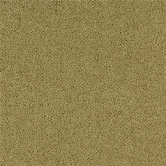 Angora_Mohair_Wheat_Grass