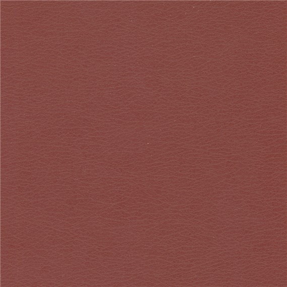 Calf_Oxblood