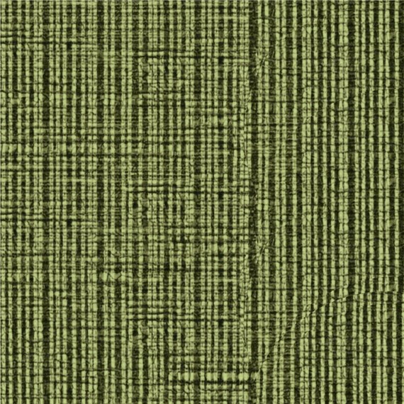 Chambray_Grasshopper