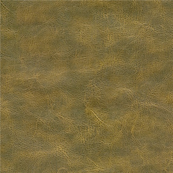 Dakota_Moss_Rock