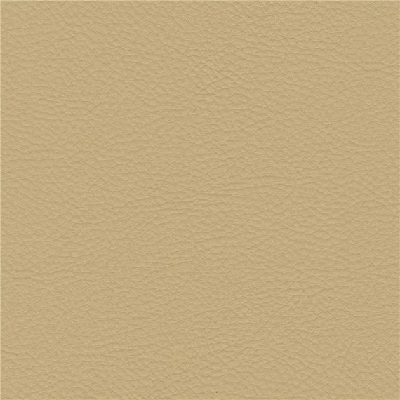 Palo_Alto_Coleridge