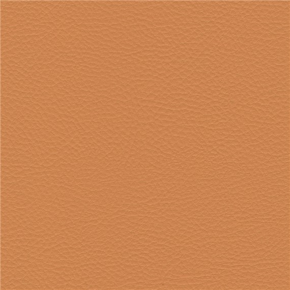 Palo_Alto_Melville