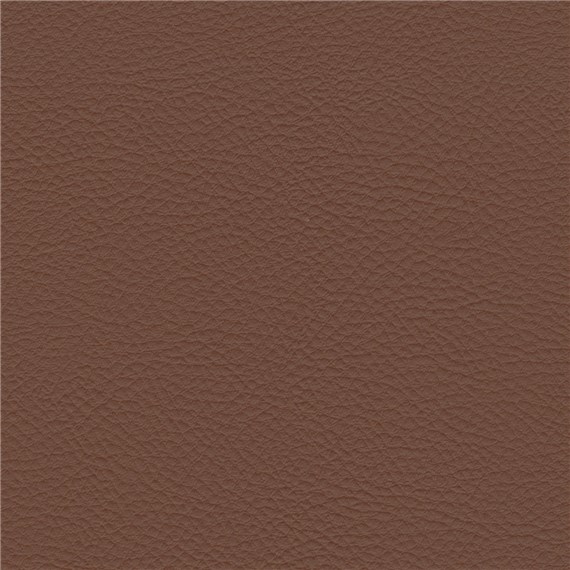 Palo_Alto_Pulgas