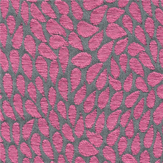 Pathway_Aster