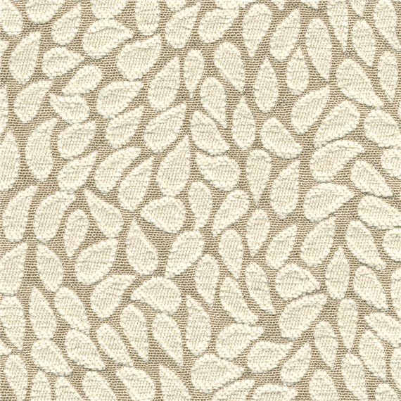 Pathway_Cream