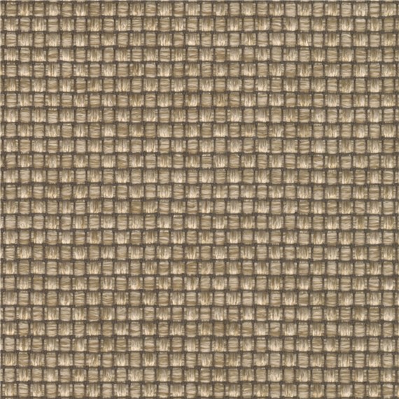 Plaited_Mushroom