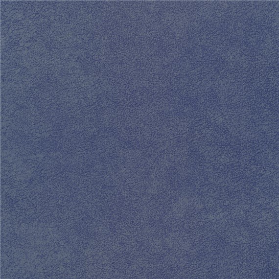 Purebrindle_Blue_Jay