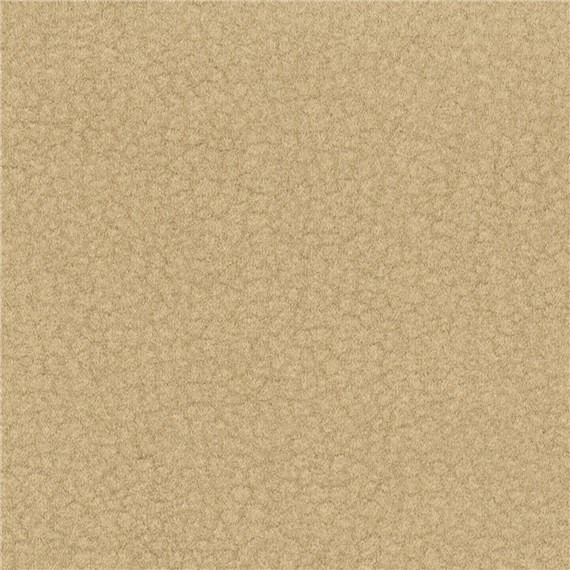 Purechic_Camel