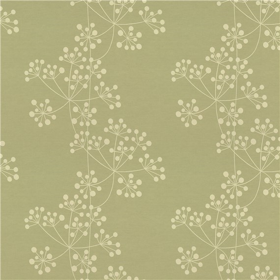 Rx_7008_Fennel