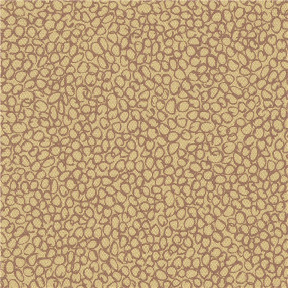 Salt_Spring_Invigorate