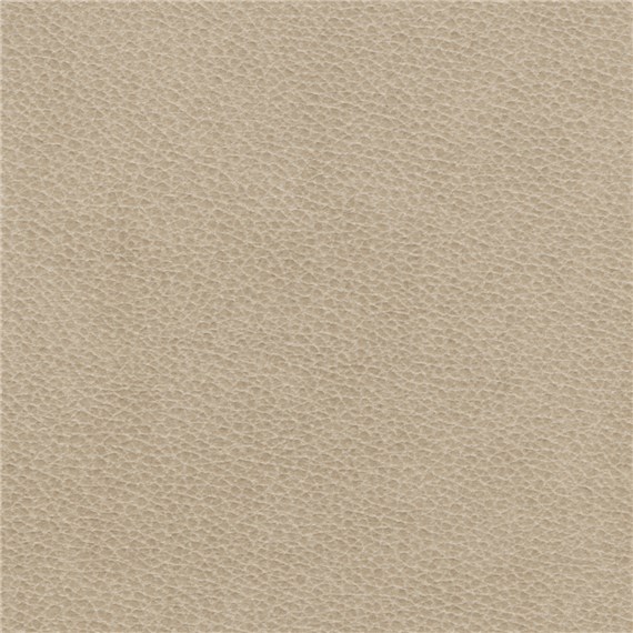 Silicone_Swayed_Canvas
