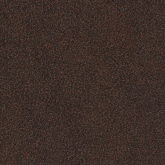 Silicone_Swayed_Plasma