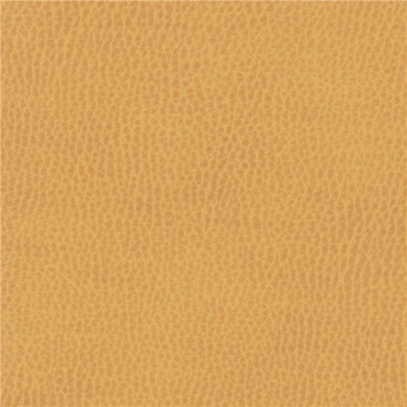 Sunnyvale_Maude