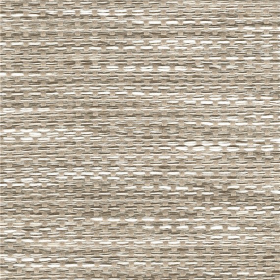 Triumph_Bamboo