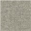 Gull Grey